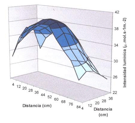 distribución de la luz