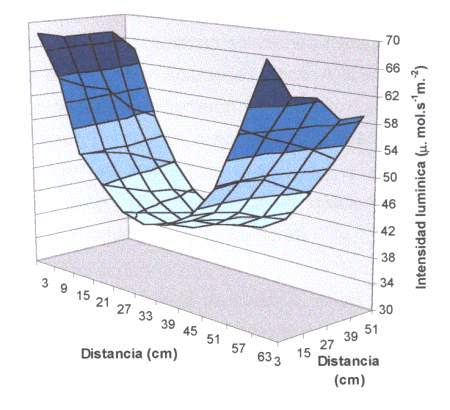 distribución de la luz